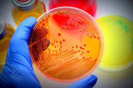 TOP 10 GOOD PAYING JOBS WITH BIOLOGY AFTER 12th